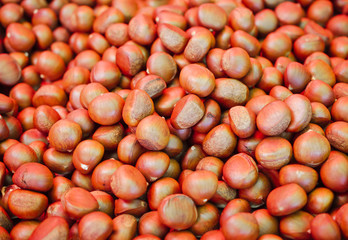 chestnut closeup for sale in the market