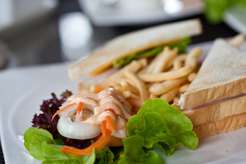 sandwich with fries and Cesar salad