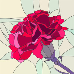 Vector illustration of flower red carnation.