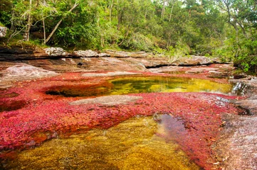 Wandcirkels aluminium A Red and Yellow River in Colombia © jkraft5