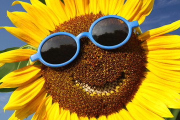 Sunflower with a smile