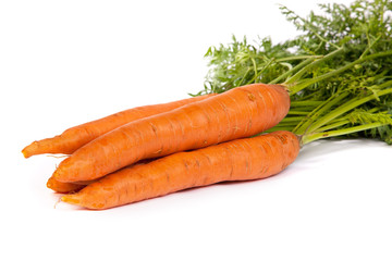 Bunch of fresh carrot isolated on white