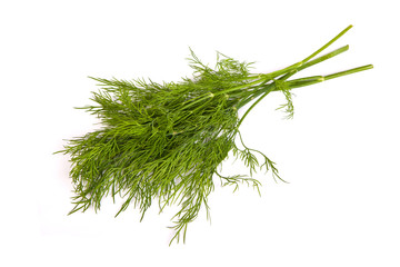 Fresh branches of green dill isolated
