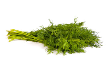 Fresh branches of green dill isolated