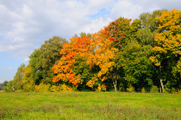 Fototapeta premium Herbst