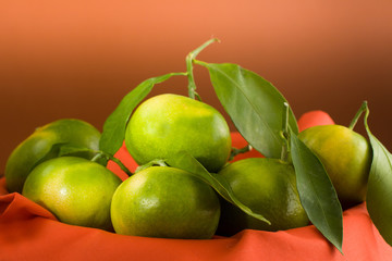 Tangerine-grapefruit (mapo)