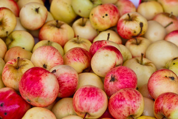 Autumn apples.