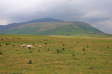 Cumbria