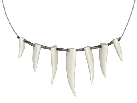 necklace of teeth on a white background