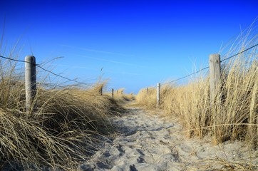 Path through sand dunes