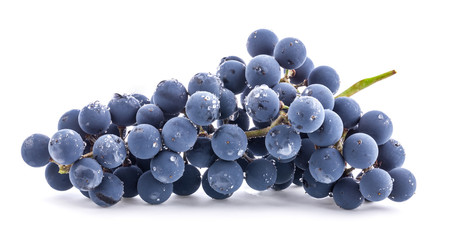 Ripe dark grapes with leaves, Isolated on white background