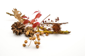 Composition of autumn leaves and fruits