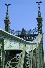Fototapeta na wymiar Most Wolności w Budapeszcie