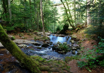 Obraz premium Source d'une cascade