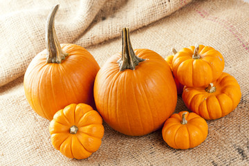 Fresh Orange Organic Pumpkin