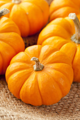 Fresh Orange Organic Pumpkin