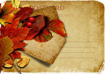 Vintage  postcard with autumn leaves