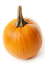 Fresh Orange Organic Pumpkin
