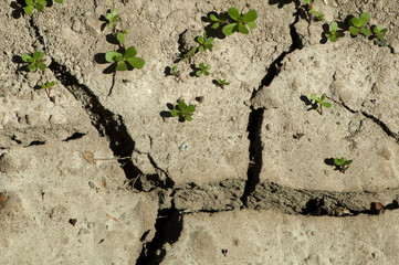 Land parched land