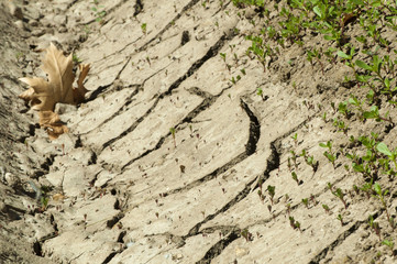 Land parched land