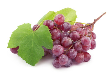 bunch of blue grapes