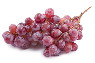 bunch of blue grapes