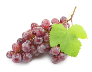 bunch of blue grapes