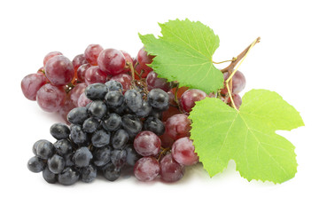 bunch of blue grapes
