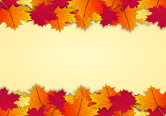 Fototapeta premium Herbstblätter Hintergrund Ahorn