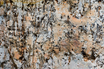 Unique old stone surface