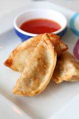 Pot Stickers
