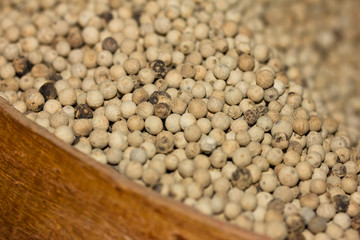 weiße  Pfefferkörner