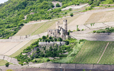 ruins of Ehrenfels Castle, Rhineland-Palatinate, Germany