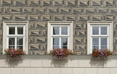 Fototapeta na wymiar Illusion rustykalny ściany, okna i pola kwiatowe