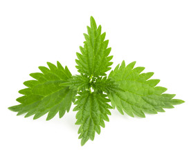 Nettle