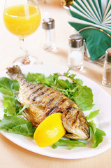 Fried fish Dorada on a plate
