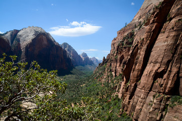 Zion national park