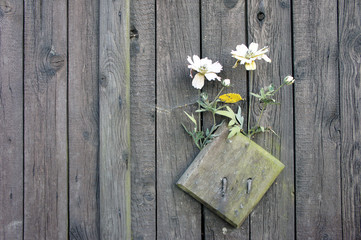 Altes Tor mit Blumenschmuck