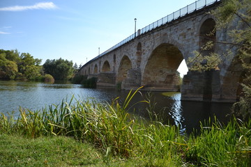 Fototapeta na wymiar Roman Bridge of Zamora