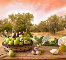 Aceitunas, condimentos, escena de olivares.