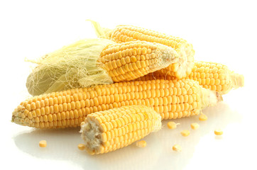 fresh corn, isolated on white