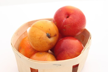 Des prunes pour le dessert