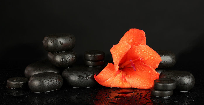 Fototapeta Spa stones with gladiolus bud isolated on black