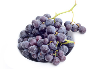 Du raisin muscat