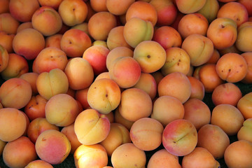 Apricots