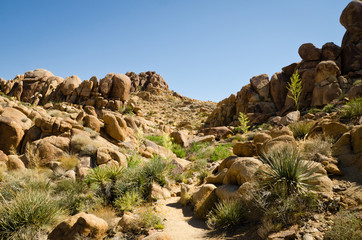 Joshua Tree National Park