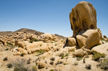 Joshua Tree National Park