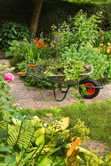 Summer garden with flowers and wheelbarrow - 45582516