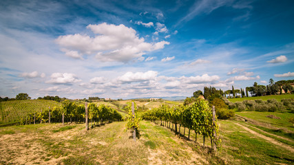 Fototapeta na wymiar Tuscan countryside landscape