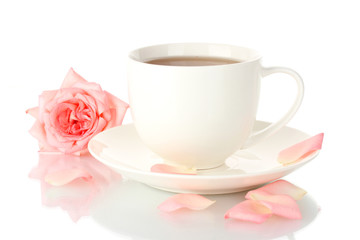 cup of tea with rose isolated on white